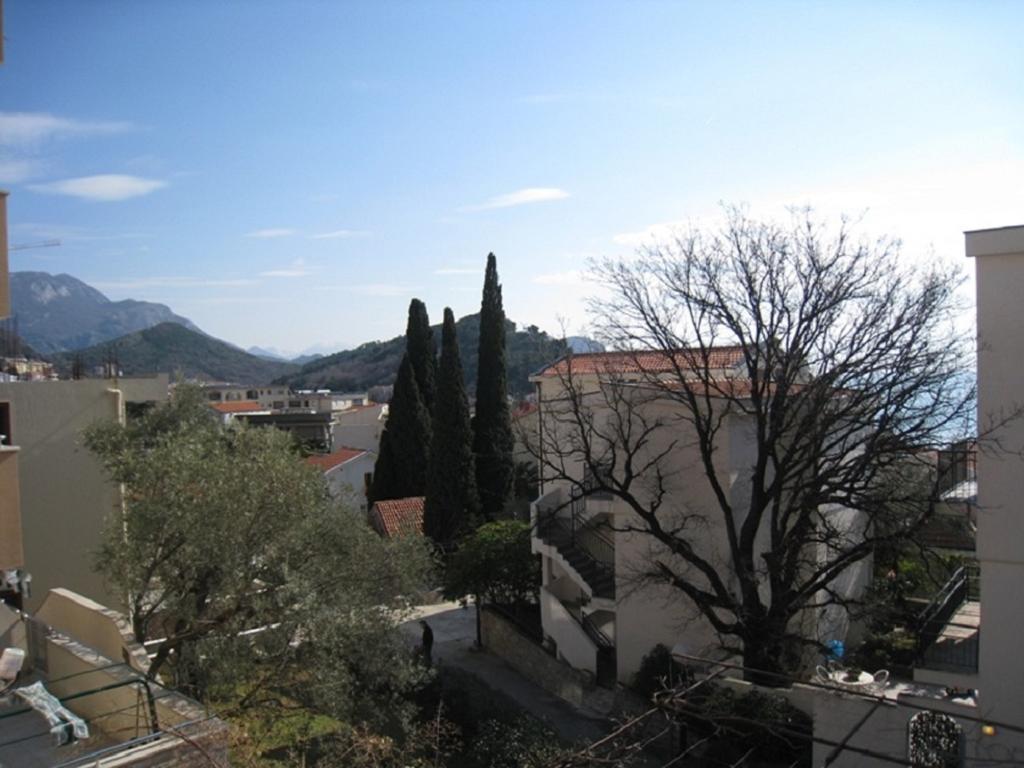 Apartment Stana Petrovac Eksteriør bilde